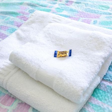 Corals B&B Apartment 德尼亚 外观 照片